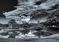 2019-01-16/8443fb98c1b910ede98216cc247cb3dd_fa94d005c773b8e096c11ae29a316c69