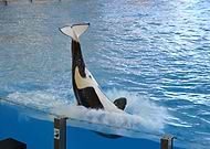 2019-01-16/92246f132e8f3396ffbd9f0f3ea2c81b_4e9f652a733d4caea7000dac4e51ce52