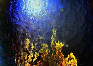 2019-01-17/7e1f037c136989f6bf9d3f575e67bc0a_39211f45335d0080c18d1d6acddd0b21