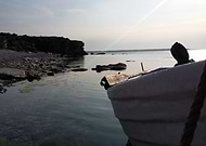 2019-01-17/fc2e5841daff3db8891cd31f685246c8_709bebc441cc7399c6e5a90c47f9723b