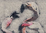 2019-01-18/d288bae8dd58c8be221bd0acc7f0e411_b77a5e685b624a7784f7a34cf986224c