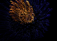 2019-01-19/954c071d2829e81e9ed49a12f8a1feef_26ee0c9427bb0bd296449972a18f853e