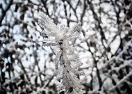 2019-01-19/e2f4e081ae0f6694a41ffd2b962b3ef0_9fe1d918d3e947ea9f0b17b0125b2940