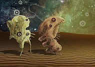 2019-01-19/e64460966280fd3139b0e296d6b7f185_cf6f5ea6ae99576098b7ab994dc11270