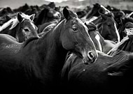 2019-01-20/3e43a04bff5909de3dc5e569530255d7_0c215becd6c9d931bfc85bc8ecc64e75