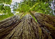 2019-01-20/5d5995d9325e0d5a9a5e259d215c6e3e_b49cd61ebd0f33baa08e255b7ab23d68