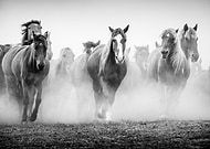 2019-01-20/900d81d4b81547bb9ad7c0dc05fd4e52_41bcb0ca8773e972c73557485bea460c