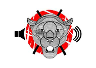 2019-01-21/656dd53fc9ad2a0a860152693d8d1572_f348692c7ffa2a07c96ef2d6f10175a8