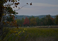 2019-01-22/0a34152bab76ef86bb667dc4297c6539_6d2c2c8863ec40e42ca944c923c585e9