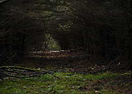 2019-01-22/4366e64c450dfc41193910c6a605dd88_835e0307584cc457367777e3bb521d83