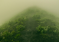 2019-01-22/a7985519ebd4ef82f0cb414187952a3e_69d90187e214c554bf51abccfa41deb8