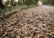 2019-01-23/8a36d47471f79a9bb2f3a291a540fb67_fc8bbac78acc073463fdfc1ed84f6038