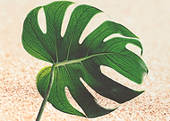 2019-01-24/14e90eb566cdf80cc95edebd0199c0f4_78960bcc6e689299ab6fecab1df13770