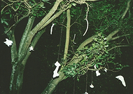 2019-01-24/1ef3e6df79eb43a3e0c36c16c4924943_050c8e837686028685f78312cccb37d5