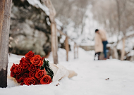 2019-01-24/cd8e3834432e630ba934c1185b1f4fb3_7180b145719becb57feb1b45c7051b1d