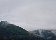 2019-01-24/eb807ffcf1f2108583f0c61d3dbfbef3_cde6e4578933e05b4a6d8f841f03c62b