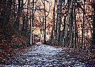 2019-01-25/2a01b04600bb2539886cc28d5eaa304a_81d1e52a0e6dc41aae5b8c6583cbd628