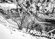 2019-01-26/5541792ddab638e2b0005da9f6fbaf3c_0edb422a6e7c29417bdb4c5972de2b03