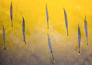 2019-01-26/dc2de0e8ce6f3d9a93bbd5aaed5685be_30ada6879dccdce1755158bacdf685eb