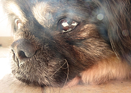 2019-01-27/ed9a37e6309667f72dd9169a36f2780b_17b73e0c8539c95ddfb61d8506f6bc35