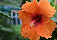 2019-01-28/4a5fda145d80a983b10c58ba22404670_ec2c745aecca8245dba6575310b2f9be