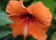 2019-01-28/acb5f0fd4c83e4f96f9be15a8c5a3c2f_e3560a832728d9943704e65d2421b2ff