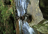 2019-01-29/883ea56b7bfe8e566a5b1e9df8bb5a3e_347ee6c0b8f47209d44bb3a3dfdc318b