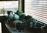 2019-01-29/c7354f66897f8af8072cc5c68b535725_c179b5b3ac474c9f63d991b9f21bf26c