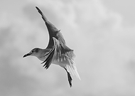 2019-01-29/e17b1ea0bee27a7750055ed45568df13_ce48ac9822aa7d5a474bfb95510d1867