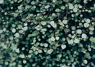 2019-01-29/fb1fd3867a8223f827ff38114623a8c4_88911a6d19141d0e12b11c3d223d2439