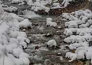 2019-01-30/3cea798933238839fb04401bed2b7b80_2bd6a5c2168bebe8539a7bfe93fa4e35