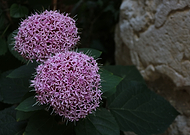 2019-01-30/86c42cccfddd186aa2db925774f622fb_96d78813198f9dbcb2a71f0b2a7623bb