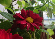 2019-01-30/d8be89004e62f57981b0cfe1843fb1a2_53c65892632393620cf6952d23c87091