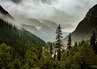 2019-01-31/3e7dcd6dcd7780150b886333be85a850_312d0fd5ffc78fd8dfa23a03505a3f04