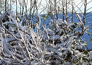 2019-02-01/9059ceec6f441758a0880353a5c0f1eb_252a5101e4ceafeb5c5ee6565a570466