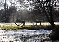 2019-02-02/76962ca5cd99136a8aae63c9bceb80d6_9d8788599a95e889858faf5fe90a076d