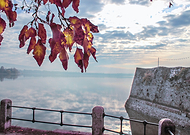 2019-02-02/f91b6350338bb7f78c203e29b0da84a2_0bb746851666c48154aedb6fd50da4af