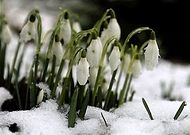 2019-02-02/faf06658a0d8255f1d5c79dd86772df5_8c5a41ba0bc97f833764270fbb38e8c6