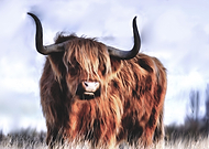 2019-02-03/13a11e46cf9872fa1b6e76b1c0e866c5_3fc482e7cecb1062185440de8b7637b5