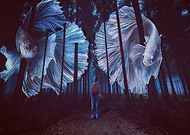 2019-02-03/6d07a86292d2aa0ad7cd494246aa9526_b1c61fa36ea940093671880667847079