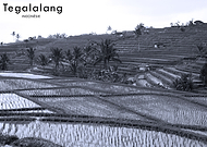 2019-02-04/570cd9496bf3e1a4534d753da20d7bda_3153709ebb6fb7f890eb4be84f5e86a1