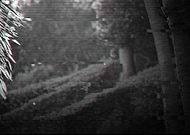 2019-02-04/babd77b4175230a4ea498c1c03adb407_8063bb293c38807f0fe00a2f957542f3