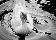 2019-02-05/216560df084aa50d5d1545113ba9b732_35af1dbe8d53ced2aac84c2baf0a0529