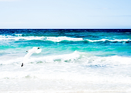 2019-02-05/e1b4196c95097f4b23b8c3fa82750765_b9936107e5a36fa984db737290e3efc8