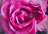 2019-02-05/ff312979e2b70e6db08270e63a26e859_be55addfd7bf3585b6fda7a21e03d90a