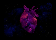 2019-02-06/1290e65d2305b8d43cf6fb47773e5839_f43763ed1cda6246a58a3239a6387ae3