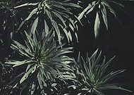 2019-02-06/50f646b73618d3b54c5779b562328674_0daac21fc63b98528af6685f10d80ffa