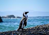 2019-02-06/6e349d67b6b6aedd8d294ed0780cb0be_68704f5d6d7f9d22552cfbe867ed6f73