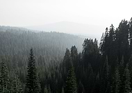 2019-02-06/9f50cb61be5f46a02df460aad4a01505_ef689806bfaa21baebc23033172e8e0f