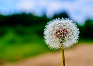 2019-02-07/05a311736cdff82e153239bb1b20ff44_86edcbb71205ef96c3ebab762c30d008